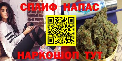 бошки Можга