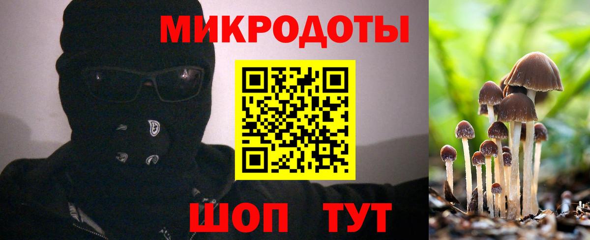 Петровск  Галлюциногенные грибы прущие грибы  Вход с VPN 